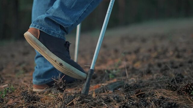 Male walk with Nordic stick in forest. Close up legs during Nordic walk in nature. Active outdoor lifestyle concept. Man uses walk stick for balance in forest. Healthy male doing Nordic walk in forest
