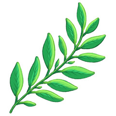 Fototapeta premium Green Botanical Leaf Branch Clipart for Natural Floral Designs