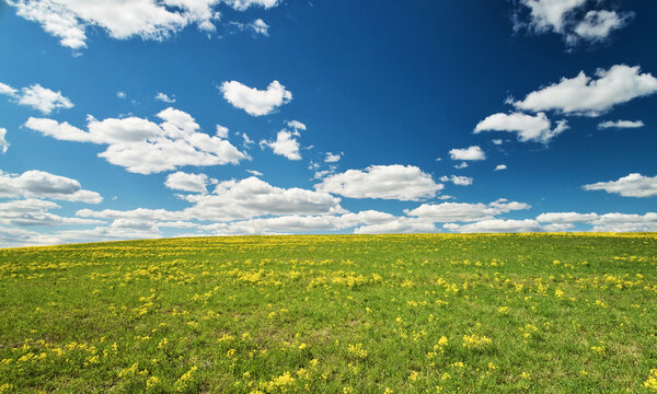 Aerial view of a vibrant green field dotted with yellow wildflowers under a bright blue sky with scattered white clouds in Mogilev, Mogilev Region, Belarus.