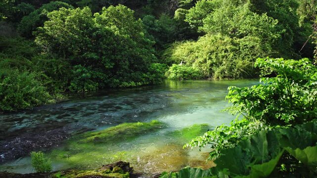 Turquoise water and lush vegetation at Blue Eye spring in Albania