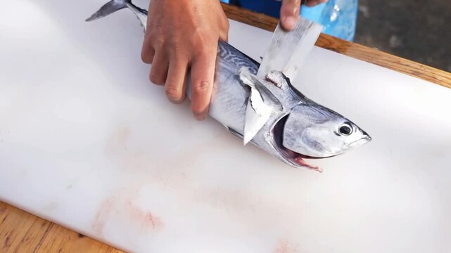 A professional worker uses a sharp knife to clean, slice, and process fresh seafood on a white cutting board aboard a vessel during commercial operations on the open sea