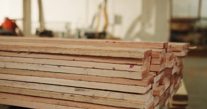 Inventory, carpentry or wood in warehouse for storage, supply chain or production materials. Logistics, stock and person in workshop for woodwork, manufacturing and carpenter in timber industry