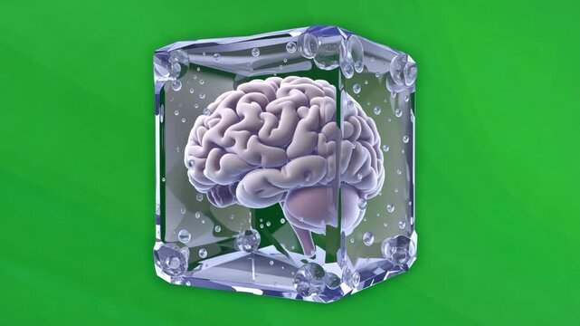 Human brain frozen in ice cubes during a conceptual representation of creative block or mental freeze