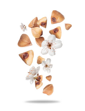 Buckwheat groats with blossoms floating in the air on a transparent background