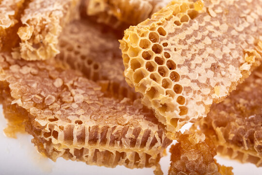 Broken Honeycomb Isolated on White Background with Copy Space