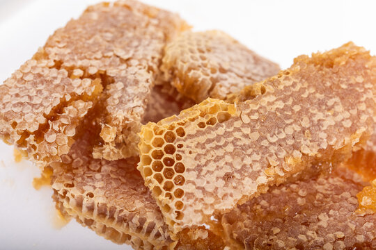 Studio Shot of Broken Honeycomb with Visible Honey Cells