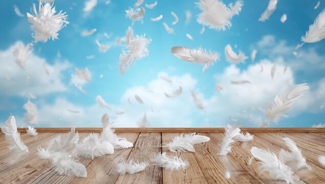 White Feathers Falling on a Wooden Surface with a Blue Sky Background