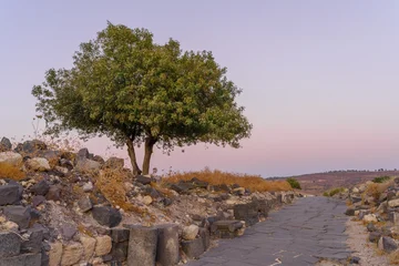 Sunset view of Sussita (Hippos) National Park © RnDmS