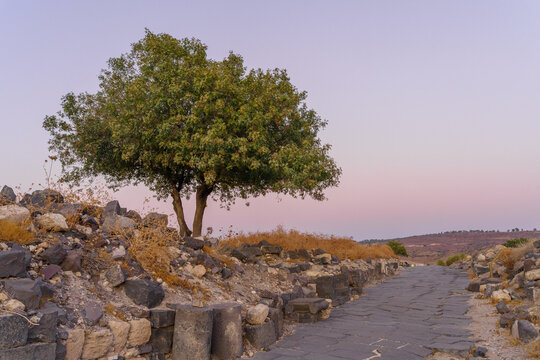 Sunset view of Sussita (Hippos) National Park