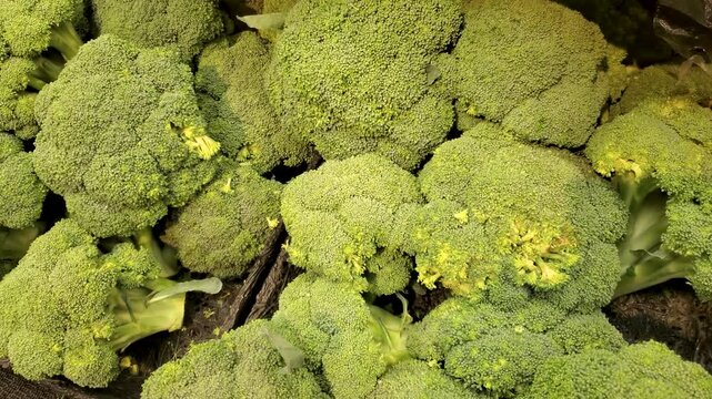 Fresh raw broccoli crowns in grocery store display close up
