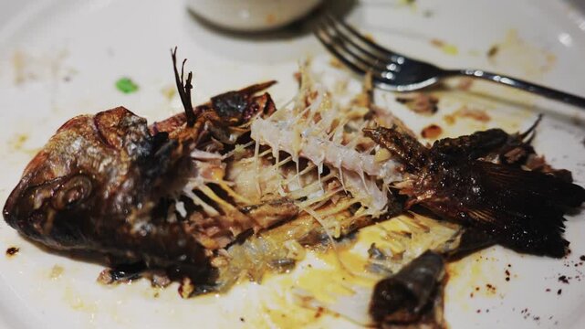 Remains of grilled fish on white plate after meal in close up view.