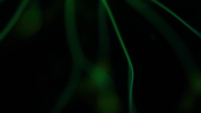 Close-up of a green plasma ball discharge.