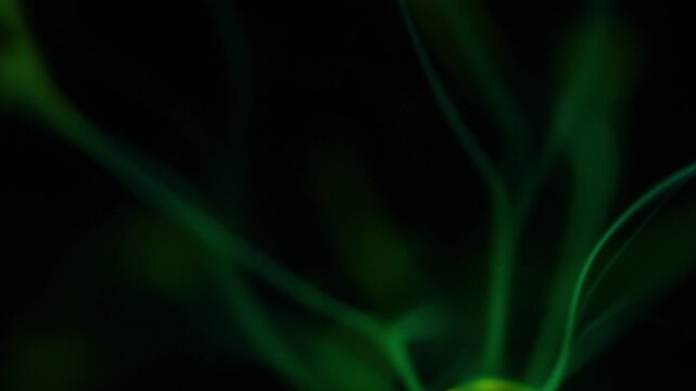 Close-up of a green plasma ball discharge.