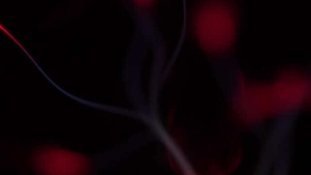 A close-up of the electrical discharge rays from a plasma ball. The plasma ball's rays are shades of red and white.