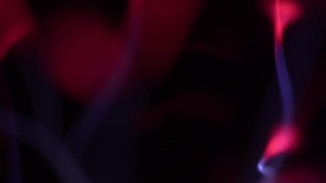 Close-up of electrical discharge rays from a plasma ball.