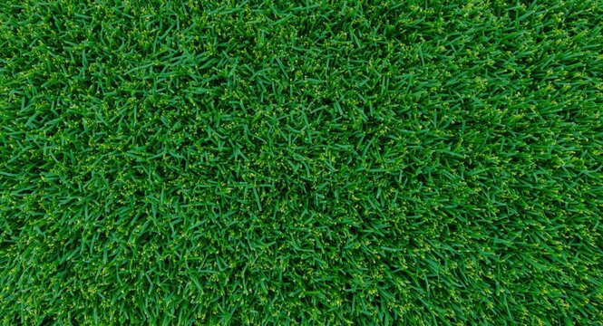 Artificial Green Grass Texture in Closeup View