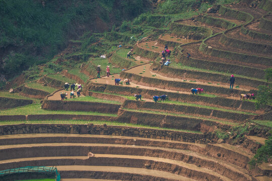 The pouring water season makes the terraced fields of Y Ty, Lao Cai province, Vietnam appear with brown soil blending with the beautiful sky