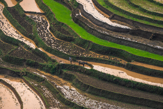 The pouring water season makes the terraced fields of Y Ty, Lao Cai province, Vietnam appear with brown soil blending with the beautiful sky