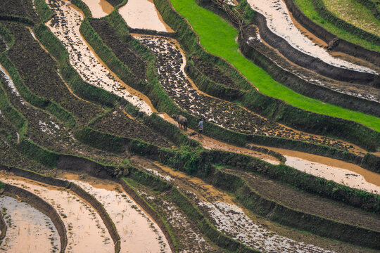 The pouring water season makes the terraced fields of Y Ty, Lao Cai province, Vietnam appear with brown soil blending with the beautiful sky