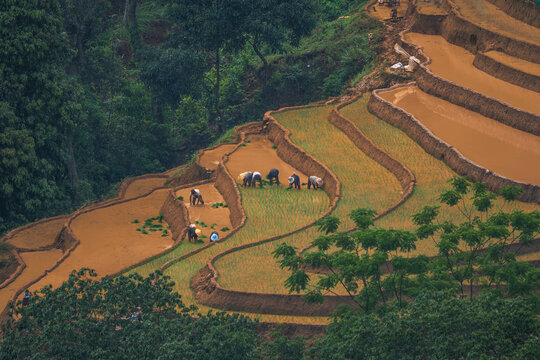 The pouring water season makes the terraced fields of Y Ty, Lao Cai province, Vietnam appear with brown soil blending with the beautiful sky