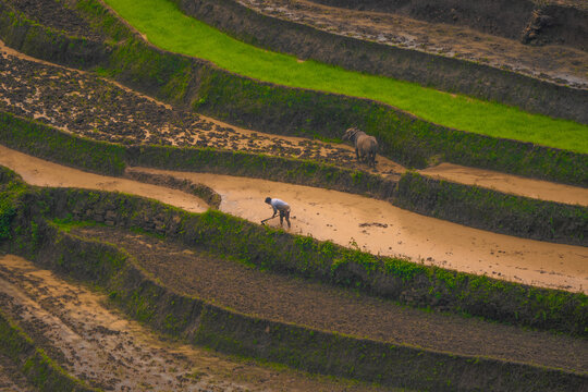 The pouring water season makes the terraced fields of Y Ty, Lao Cai province, Vietnam appear with brown soil blending with the beautiful sky