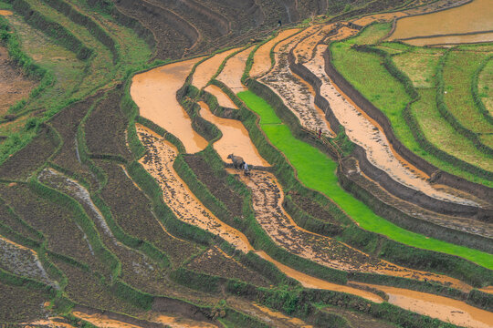 The pouring water season makes the terraced fields of Y Ty, Lao Cai province, Vietnam appear with brown soil blending with the beautiful sky