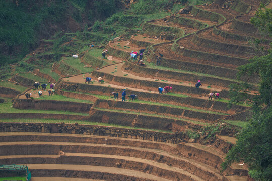The pouring water season makes the terraced fields of Y Ty, Lao Cai province, Vietnam appear with brown soil blending with the beautiful sky