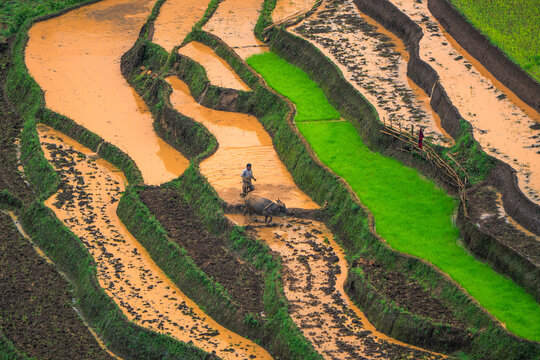 The pouring water season makes the terraced fields of Y Ty, Lao Cai province, Vietnam appear with brown soil blending with the beautiful sky