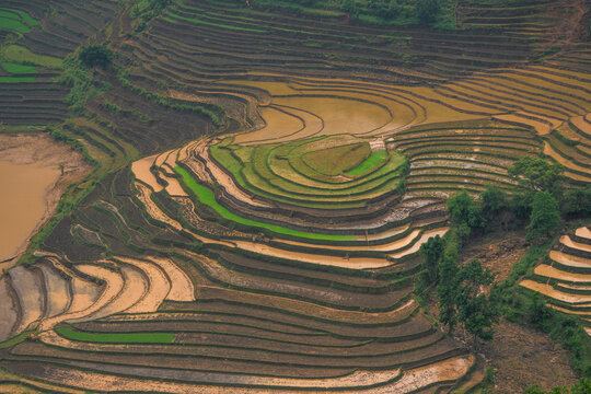 The pouring water season makes the terraced fields of Y Ty, Lao Cai province, Vietnam appear with brown soil blending with the beautiful sky