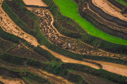 The pouring water season makes the terraced fields of Y Ty, Lao Cai province, Vietnam appear with brown soil blending with the beautiful sky