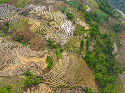 The pouring water season makes the terraced fields of Y Ty, Lao Cai province, Vietnam appear with brown soil blending with the beautiful sky