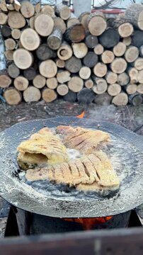 Golden cornmeal fried fish pieces sizzling over an open fire griddle with tree logs in the background
