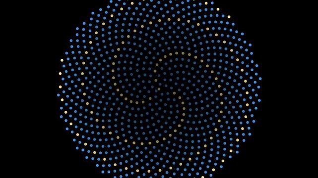 Blue phyllotaxis sunflower spiral animation