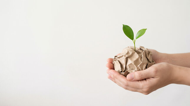 Green plant growing from paper waste concept of waste recycling