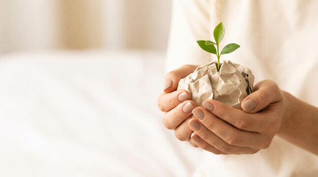 Green plant growing from paper waste concept of waste recycling