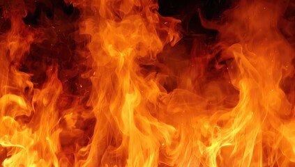 Fototapeta premium Flames Dancing in a Dark Background with Intense Orange Glow