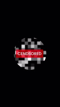 Prohibition and Privacy Design Concepts. Vertical Privacy Shield with Shifting Mosaic Blocks for Sensitive Content Obfuscation 4k video
