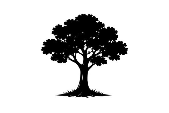 Black Silhouette of a Tree Isolated on White with Grass Details