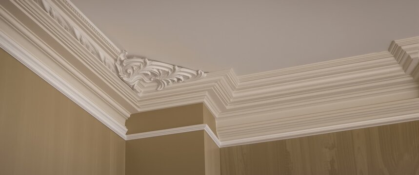 Ornate Ceiling Cornice Detail in Neutral Toned Interior Setting