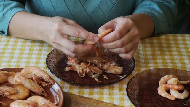 Food prep. Woman peeling boiled tiger prawns. Eating seafood.