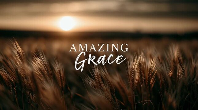 A golden wheat field moving gently in the wind during sunset with cinematic warm light. Elegant handwritten typography reading &ldquo;AMAZING GRACE"