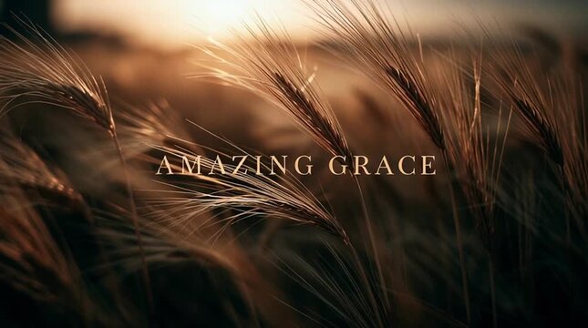 A golden wheat field moving gently in the wind during sunset with cinematic warm light. Elegant handwritten typography reading &ldquo;AMAZING GRACE"