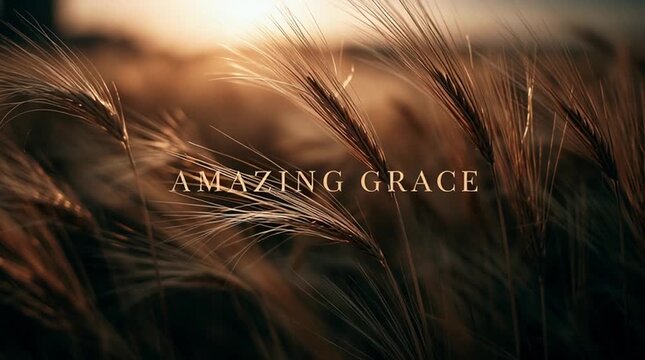 A golden wheat field moving gently in the wind during sunset with cinematic warm light. Elegant handwritten typography reading &ldquo;AMAZING GRACE"