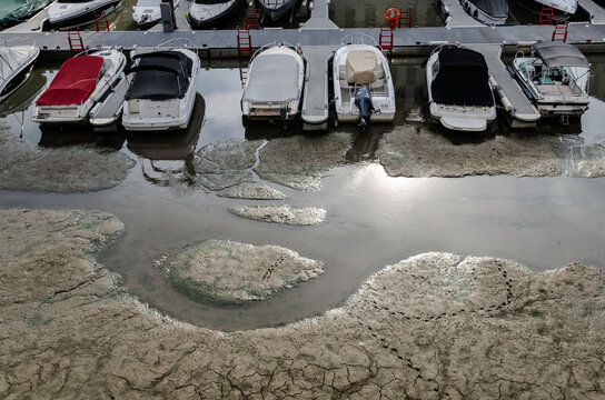 Boote im K&ouml;lner Rheinauhafen bei niedrigen Wasserstand