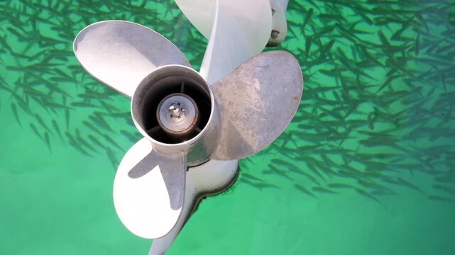 Boat's propeller against backdrop of school of fish swimming in emerald waters of sea