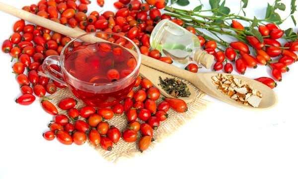bunch of fresh dog rose, Rosa canina, rosehip rose hips and herbal tea isolated on white background