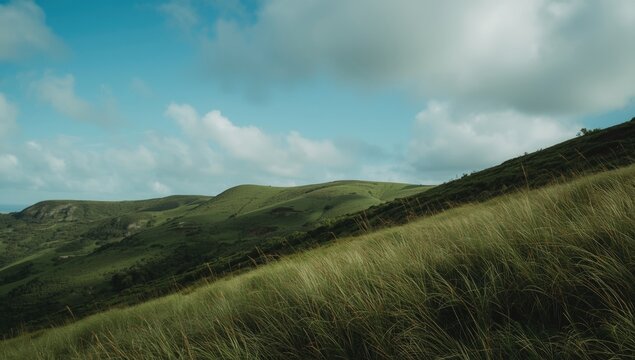 Lush Green Hills Under a Cloudy Sky with Tall Grass in the Foreground