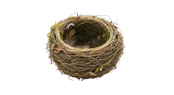 Natural bird nest made of twigs and moss, empty avian home woven with dry grass, rustic wildlife habitat for spring concepts isolated PNG with Transparent Background