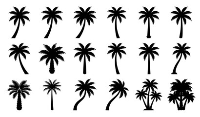 Fototapeta premium Set of black silhouettes of various tropical palm trees isolated on a white background for design elements