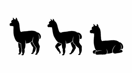 Obraz premium Set of Three Black Alpaca Silhouettes in Standing, Walking, and Sitting Poses Isolated on White